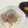 papikun's cooksnap of when they made のっけるだけ！まぐろ＆釜揚げしらす丼.