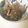はーむちゃん's cooksnap of when they made 簡単！鶏レバーの照り照り焼き.
