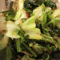 こたつこたつ。's cooksnap of when they made ほうれん草と白菜のおひたしサラダ.