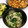 Ruri03's cooksnap of when they made 春菊とエノキのお浸し.