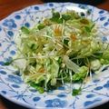 猫のオソマ's cooksnap of when they made 白菜とかいわれ大根のサラダ.