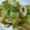 kako121's cooksnap of when they made 長ネギとちくわの炒め物＊白だしだけ.