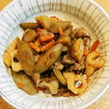 猫可愛がり's cooksnap of when they made れんこんとごぼうと豚肉のきんぴら.