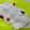 kobari's cooksnap of when they made あたしん家の千枚漬け.