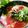ダッフィーニーうに's cooksnap of when they made 超簡単5分　子供が喜ぶ！山かけ丼.
