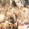ゆきんこ❄️'s cooksnap of when they made 新鮮✩生マグロの血合い鉄板焼き.