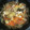 クックOS2GJ0☆'s cooksnap of when they made 冷え症・風邪に！生姜スープのねぎ豚煮込み.