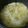 TaniYuri's cooksnap of when they made ズボラさんの野菜たっぷり中華風スープ.
