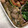 わたさな2016's cooksnap of when they made 鶏肉と舞茸の炒め物.