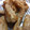 クックPX0BNC☆'s cooksnap of when they made 軟骨の塩炒め.