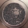 ma___111's cooksnap of when they made ゼラチンで作る超簡単胡麻豆腐。.