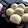 matmat88's cooksnap of when they made ふわふわエンゼルちぎりパン.