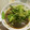 いちごトンプソン's cooksnap of when they made 生菜炒菜（レタスの炒め物）.