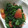 ゆーあちん's cooksnap of when they made ほうれん草とトマトの中華風サラダ.