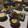 Amalka's cooksnap of when they made 簡単！きゅうりの酢の物.