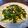すみっコ歯ブラシ's cooksnap of when they made オータムポエムの中華卵入り.