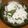 エコー＊＊'s cooksnap of when they made ＊なつかしのわかめご飯＊.