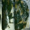 チョロ坊's cooksnap of when they made 行者にんにくの醤油漬け.