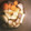 クック9DY42R☆'s cooksnap of when they made 簡単☆大根と人参入り豚の角煮.