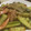クック9S8BCT☆'s cooksnap of when they made 【サッと作れる】きゅうりとウインナー炒め.