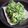 ひさかた's cooksnap of when they made セロリの葉の天麩羅.