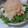 totomofryo's cooksnap of when they made 厚揚げと水菜の✿グレフル❀サラダ✿.