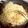 lovemoco's cooksnap of when they made 圧力鍋にてモチモチパスタ.