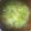 芋姉妹娘's cooksnap of when they made 【副菜】白菜のポカポカごま味噌汁.