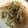 ♡HANABI18♡'s cooksnap of when they made 簡単！ネギ塩豚丼.