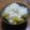 あしがらのひろきち's cooksnap of when they made ❀シンプル　さつまいもごはん❀.