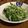 arcana22's cooksnap of when they made 水菜としらすのサラダ.