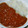 〒もんちゃん's cooksnap of when they made ずぼらで包丁無用。簡単！極上トマトカレー.