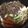 マトリーチェ's cooksnap of when they made すき焼き風肉豆腐.