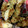 sajunko625's cooksnap of when they made 簡単＊チーズinちくわの磯辺揚げ＊.