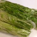min0614's cooksnap of when they made 水菜の保存.