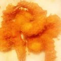 栗ごはん食べたい's cooksnap of when they made ブラックタイガーでエビフライ♪.
