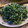 みこねこおぶじぇくと's cooksnap of when they made セロリの葉っぱの柚子胡椒マヨ和え.