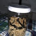 クック3CM6DW☆'s cooksnap of when they made カリカリ！手作りおかかふりかけ.