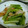 おやまめさん's cooksnap of when they made 麺つゆで超簡単！小松菜の煮浸し風.
