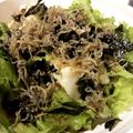 ねねたろぅ's cooksnap of when they made 居酒屋風 豆腐レタスサラダ.