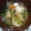 クック105KEH☆'s cooksnap of when they made ほくほくの食感♪3種の根菜と里芋のみそ汁.