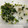 たろう's cooksnap of when they made 小松菜としらすのふりかけ.