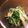 雨です's cooksnap of when they made 5分で副菜！水菜の炒め物。ワサビ風味.