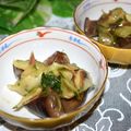 mielle's cooksnap of when they made 焼き茄子と胡瓜の大葉にんにく醤油和え.