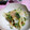 ＴＯＭＯＷＡＴ's cooksnap of when they made さっぱり豆苗と玉ねぎのおひたし.