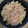 コーヒー甘め's cooksnap of when they made めっちゃ美味しい簡単！大根の即席漬け.