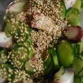 rikoko17's cooksnap of when they made 酸っぱくないタコの酢の物.