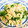 クック04MZOZ☆'s cooksnap of when they made ほうれん草と鶏ミンチの卵とじ.
