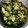 カヨ☆ぼーん's cooksnap of when they made たこ*きゅうり*わかめの酢の物.