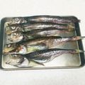ソネチコ's cooksnap of when they made 超簡単☆自家製☆ハタハタの干物の作り方.